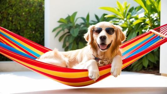 Why Are Dogs So Loyal? Because They’re Good Buggers, That's Why! - Kooky Kibble Singapore