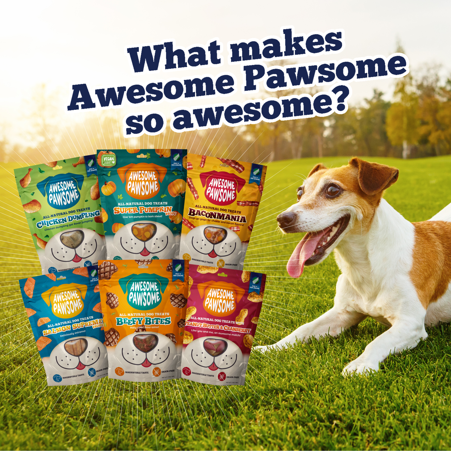 Natural Treats for Dogs