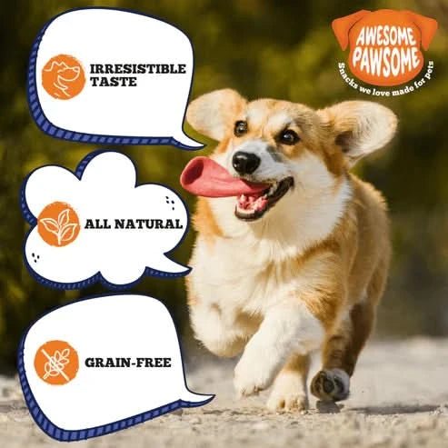 Delicious Dog Treats Singapore