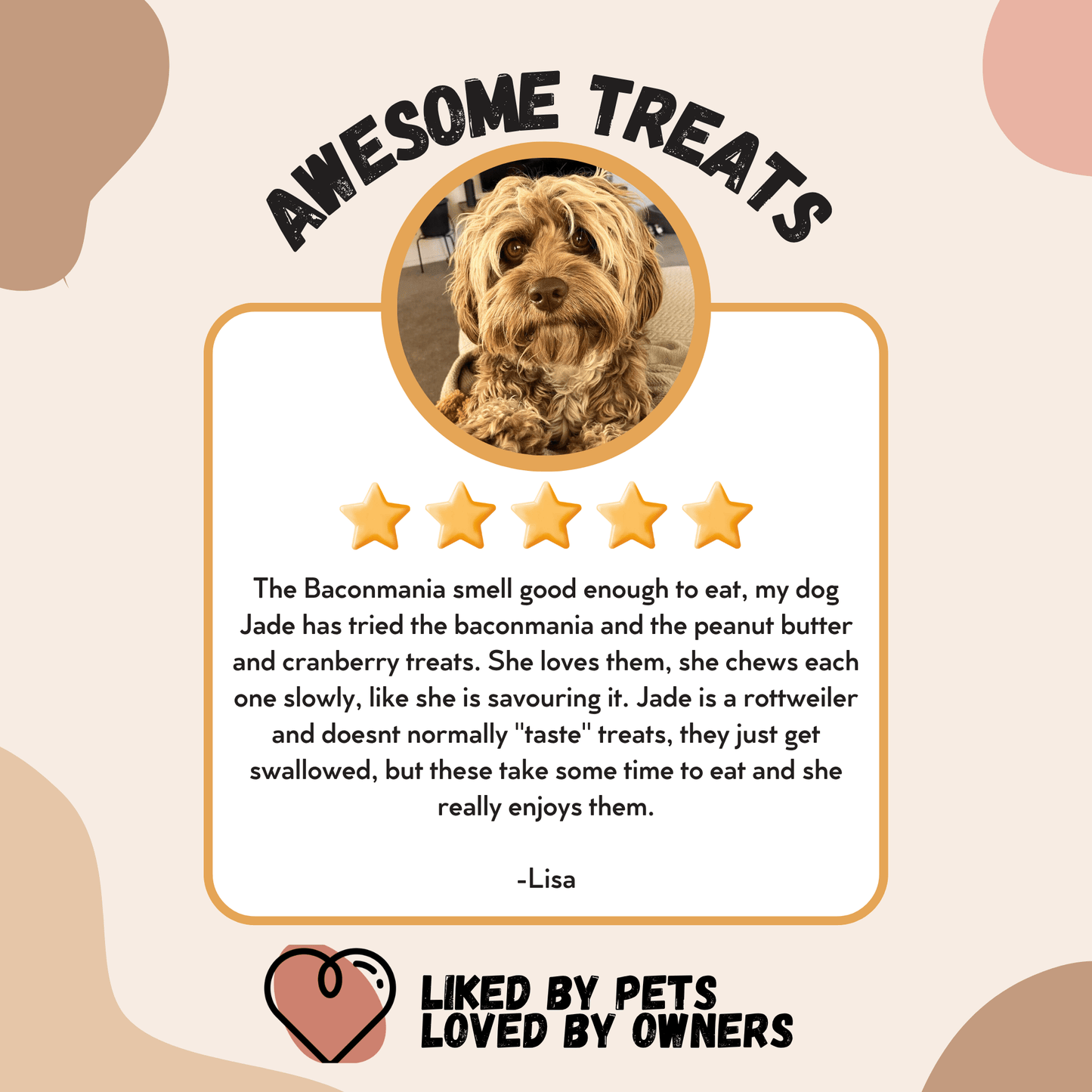 Meaty Dog Treats