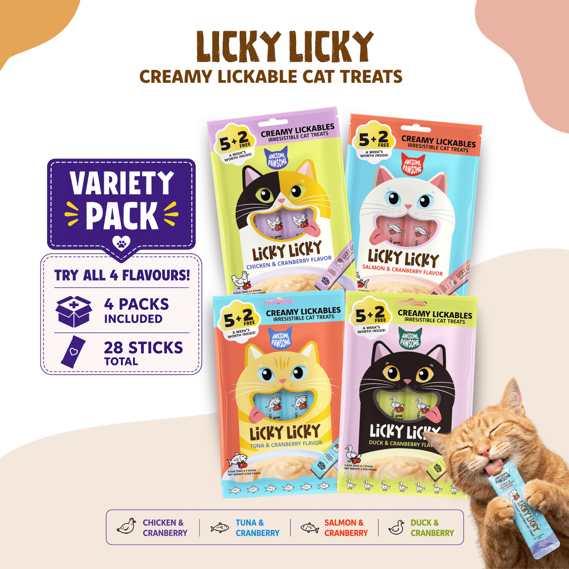 Affordable Cat Food Bundle