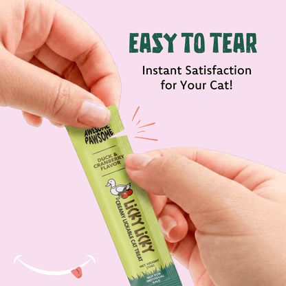 Cat Food and Treat Combo Singapore