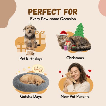Kooky Kibble E-Savings Card - Kooky Kibble Singapore