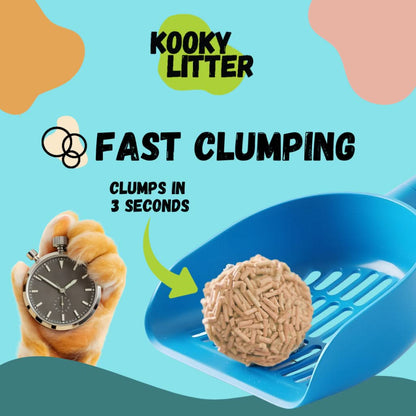 Fast Clumping Cat Litter for Indoor Cats