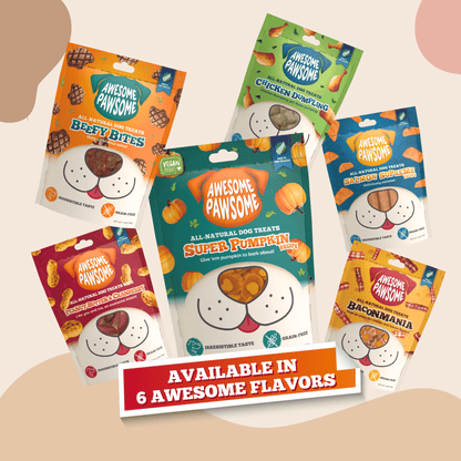 Kooky Kibble Dog Bundle