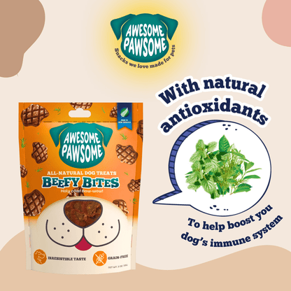 Grain-Free Adult Dog Food Value Pack