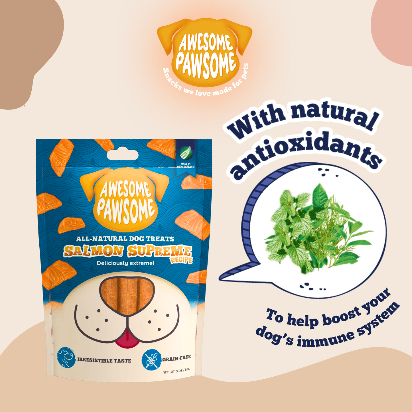 Everyday Dog Food Bundle Singapore