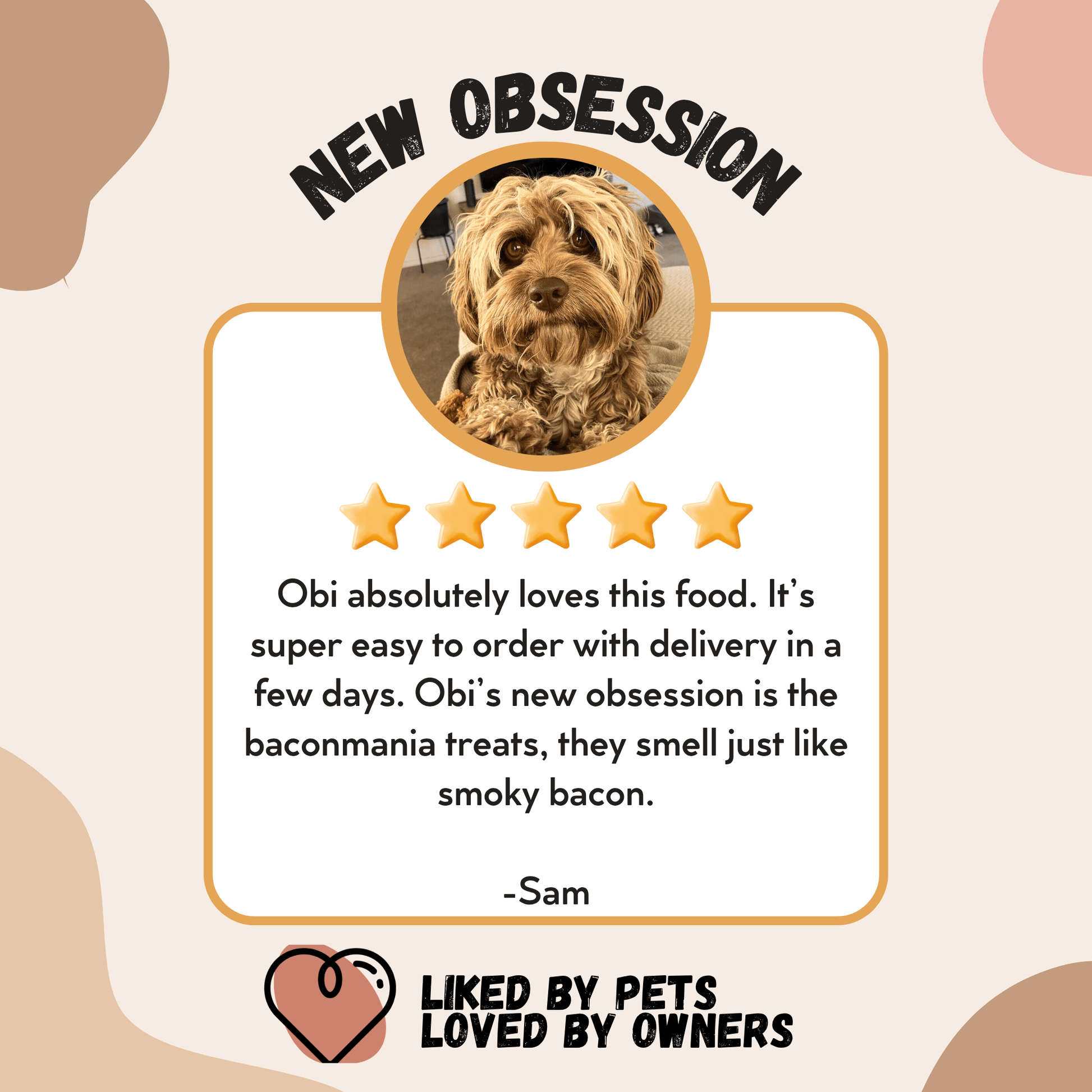 Dog Food and Training Treat Bundle