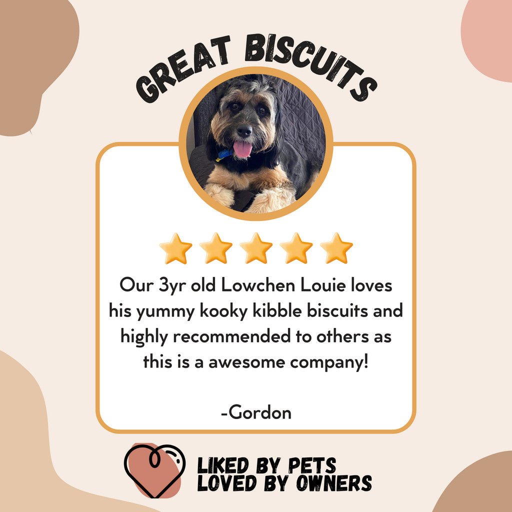 Budget-Friendly Dog Food Singapore