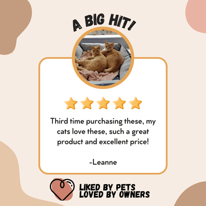Affordable Grain-Free Cat Food Singapore