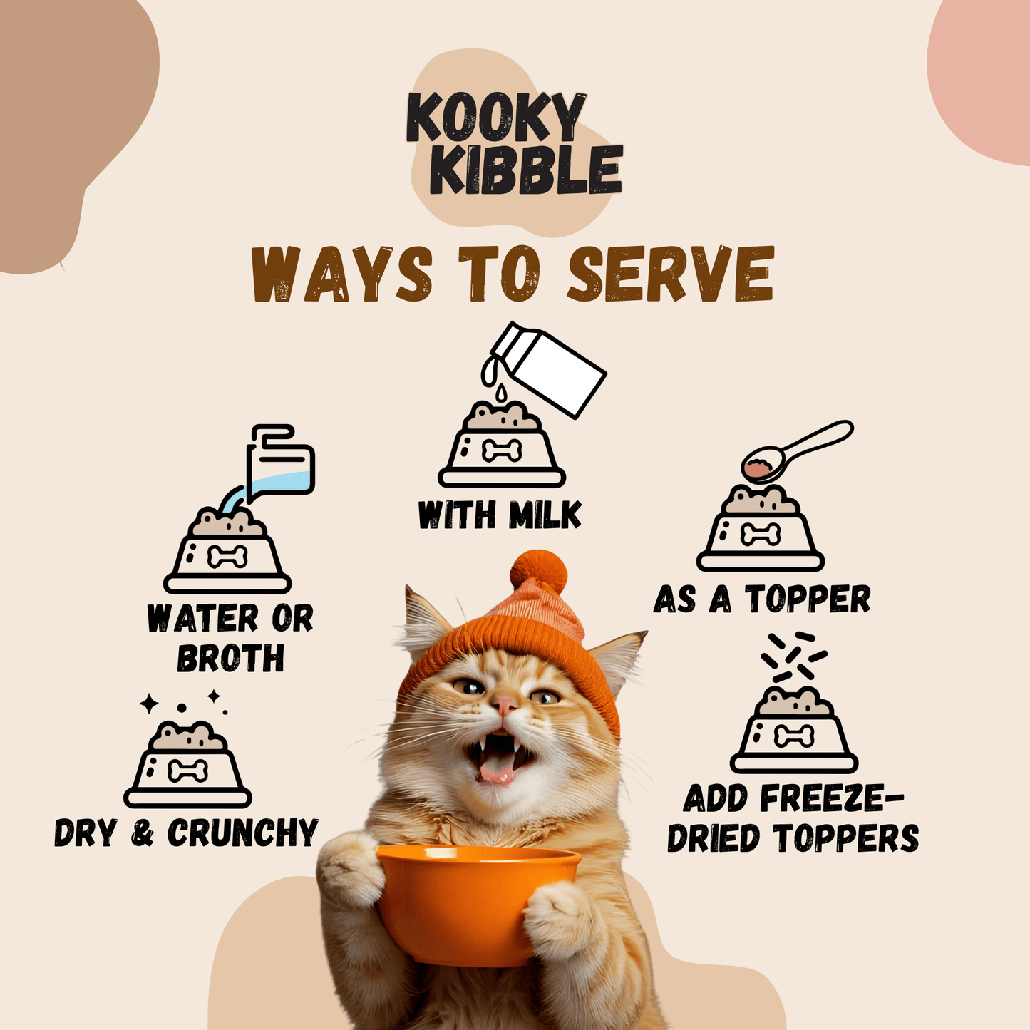 Natural Cat Food Singapore for Everyday Feeding